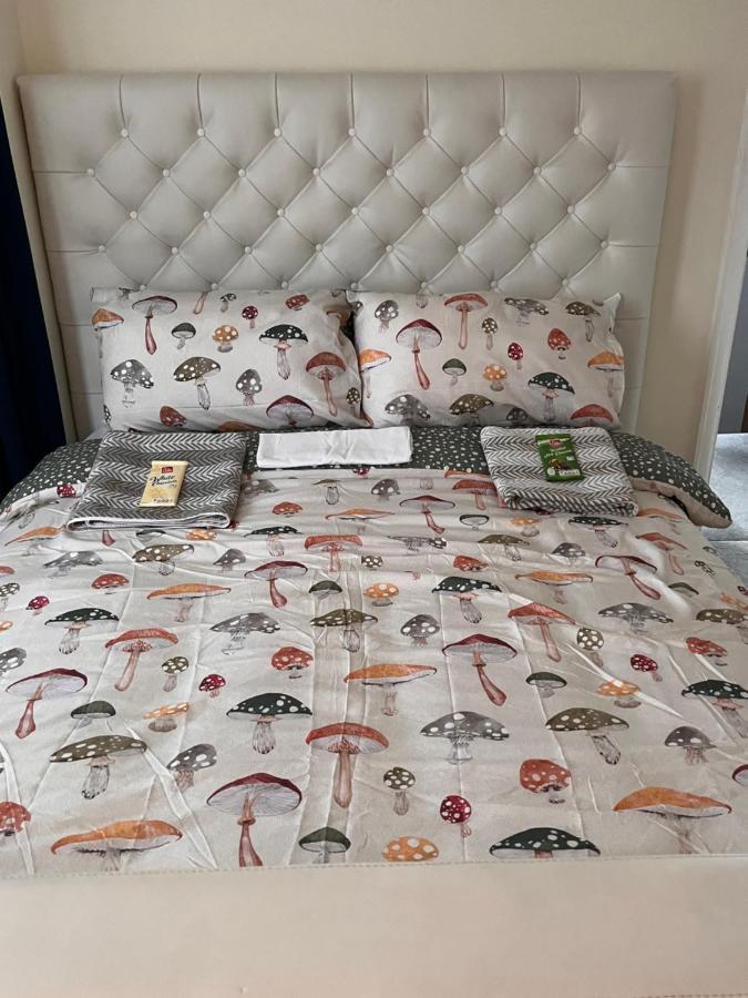 לונדון Home From Home Cosy B&B מראה חיצוני תמונה